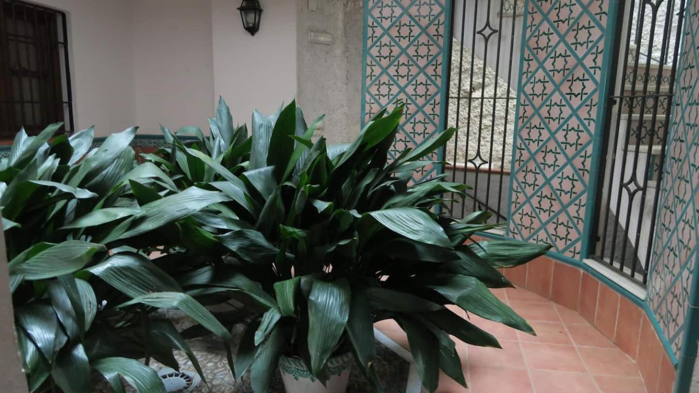 Charming Albaicin Patio Flat Free Onsite Parking Apartment Гранада Екстериор снимка